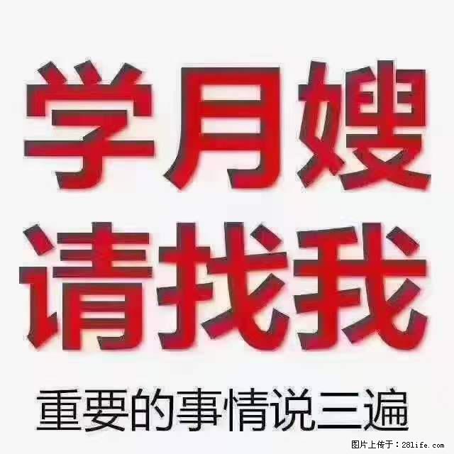 为什么要学习月嫂，育婴师？ - 新手上路 - 汕尾生活社区 - 汕尾28生活网 sw.28life.net