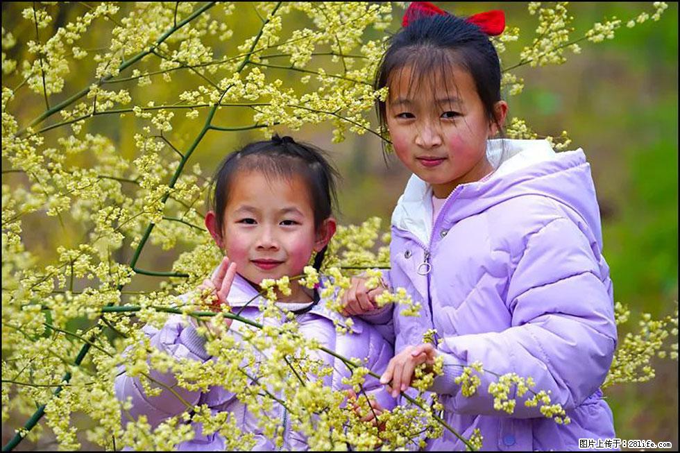 【春天，广西桂林灌阳县向您发出邀请！】米珠山前有片山苍子花在飘香 - 游山玩水 - 汕尾生活社区 - 汕尾28生活网 sw.28life.net