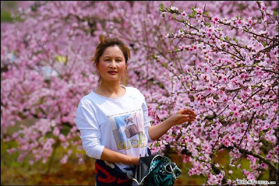 【春天，广西桂林灌阳县向您发出邀请！】官庄村有个醉美的桃花园 - 游山玩水 - 汕尾生活社区 - 汕尾28生活网 sw.28life.net
