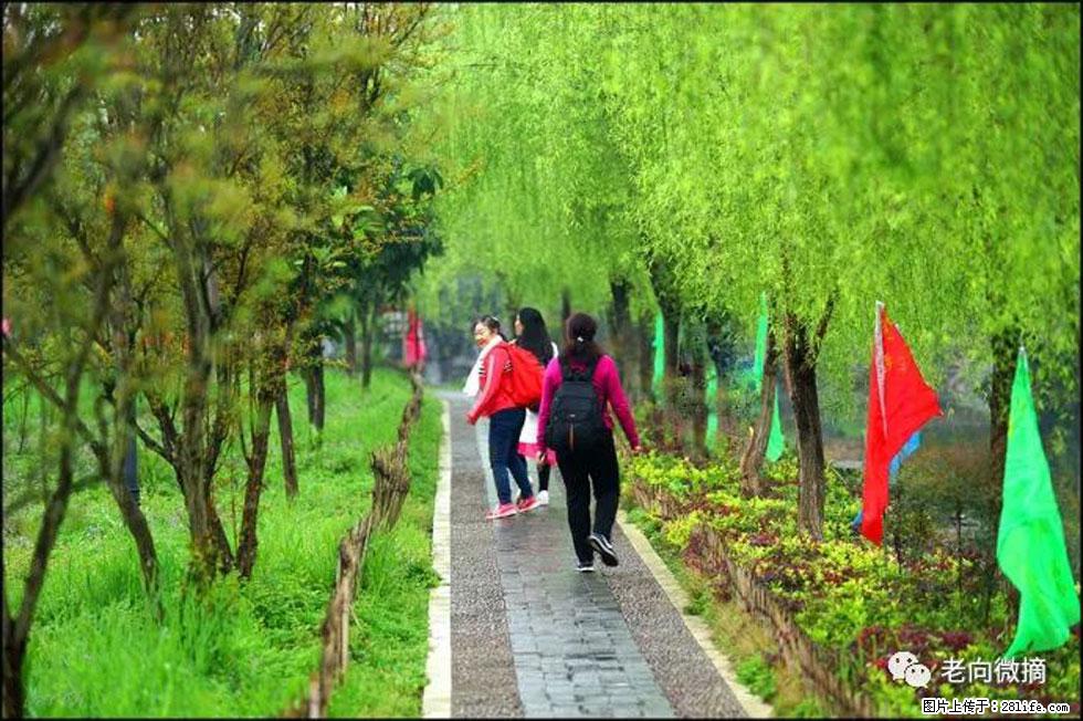 【春天，广西桂林灌阳县向您发出邀请！】江口老街又逢春 - 游山玩水 - 汕尾生活社区 - 汕尾28生活网 sw.28life.net