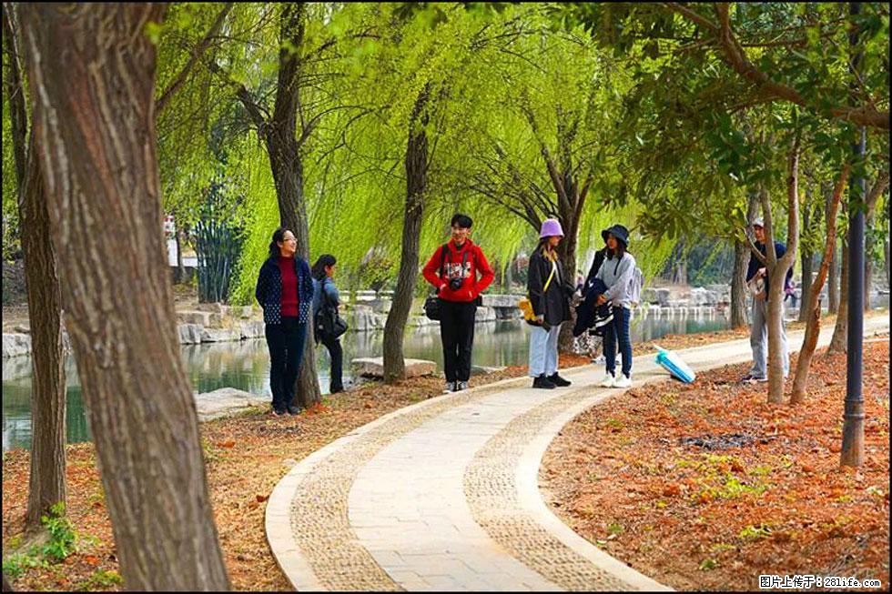 【春天，广西桂林灌阳县向您发出邀请！】江口老街又逢春 - 游山玩水 - 汕尾生活社区 - 汕尾28生活网 sw.28life.net