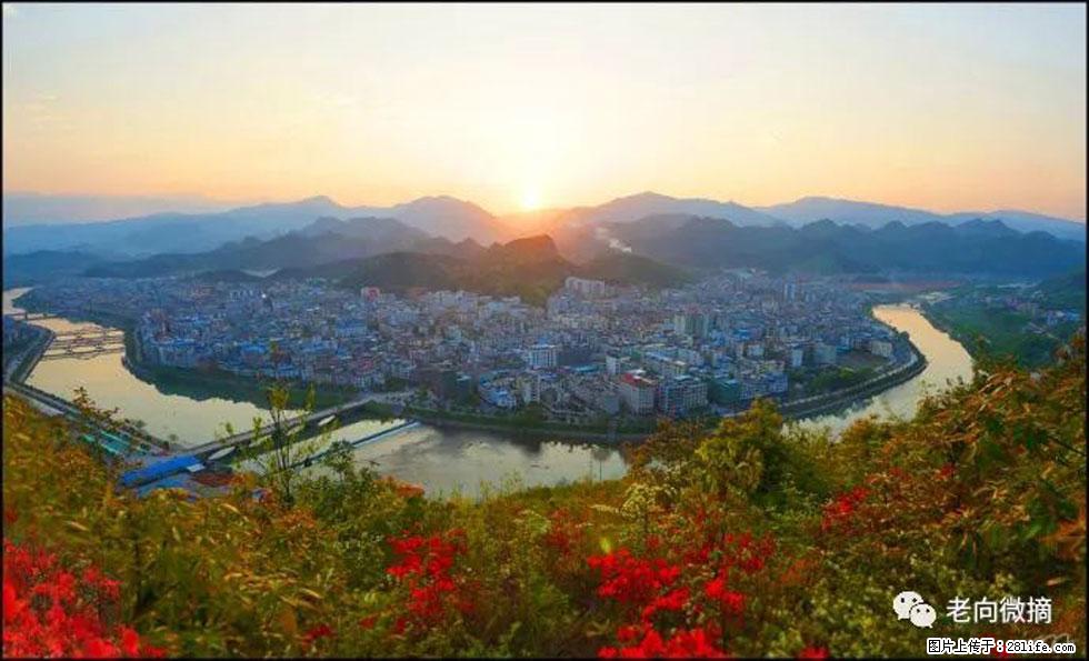 【春天，广西桂林灌阳县向您发出邀请！】登麒麟山，相约映山红 - 游山玩水 - 汕尾生活社区 - 汕尾28生活网 sw.28life.net