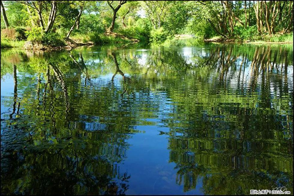 【春天，广西桂林灌阳县向您发出邀请！】熊家寨湿地公园 - 游山玩水 - 汕尾生活社区 - 汕尾28生活网 sw.28life.net