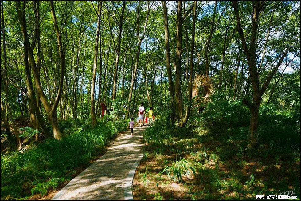 【春天，广西桂林灌阳县向您发出邀请！】熊家寨湿地公园 - 游山玩水 - 汕尾生活社区 - 汕尾28生活网 sw.28life.net