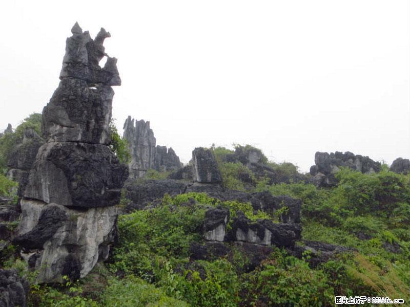 桂林旅游名城景点：灌阳文市石林 - 游山玩水 - 汕尾生活社区 - 汕尾28生活网 sw.28life.net