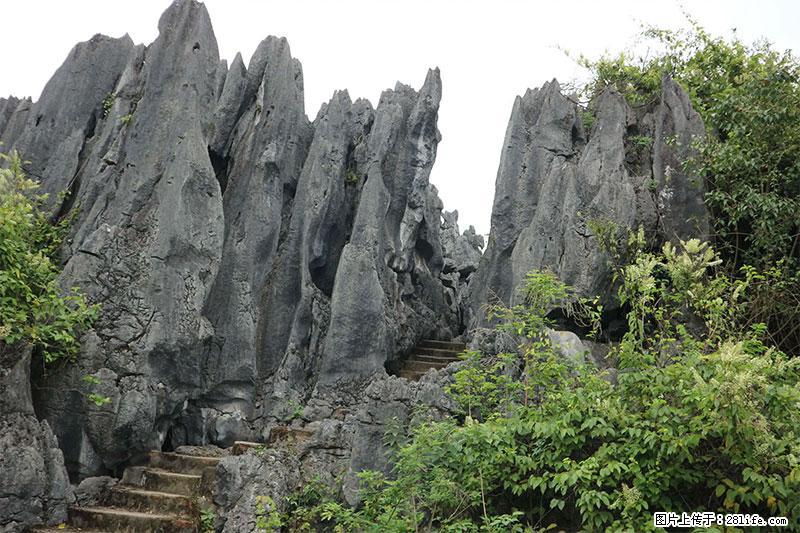 桂林旅游名城景点：灌阳文市石林 - 游山玩水 - 汕尾生活社区 - 汕尾28生活网 sw.28life.net