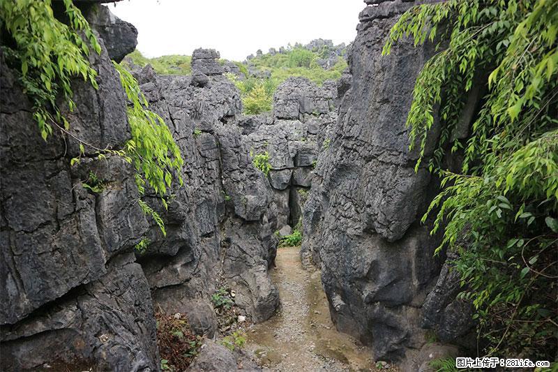 桂林旅游名城景点：灌阳文市石林 - 游山玩水 - 汕尾生活社区 - 汕尾28生活网 sw.28life.net