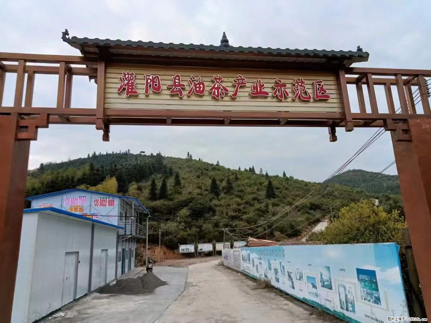 【灌阳县油茶产业示范区】一个有着充实的精神生活的人，对待身外之物自会有一种淡泊的态度 - 美食天地 - 汕尾生活社区 - 汕尾28生活网 sw.28life.net