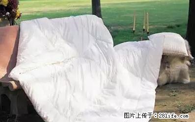 被子有异味？只要这样做，比晒太阳还强100倍！ - 家居生活 - 汕尾生活社区 - 汕尾28生活网 sw.28life.net