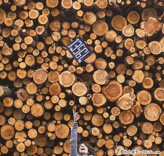 辞掉工作周游世界？现在他们在洗厕所…… - 游山玩水 - 汕尾生活社区 - 汕尾28生活网 sw.28life.net