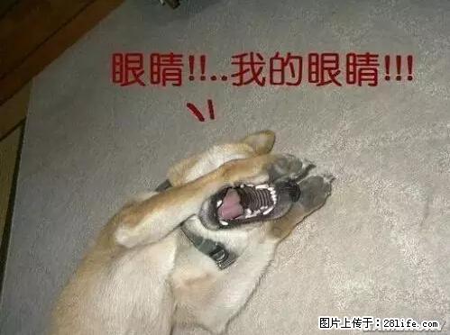 笑癫了!一女的怀孕三年未生,他终于忍不住了... - 娱乐八卦 - 汕尾生活社区 - 汕尾28生活网 sw.28life.net