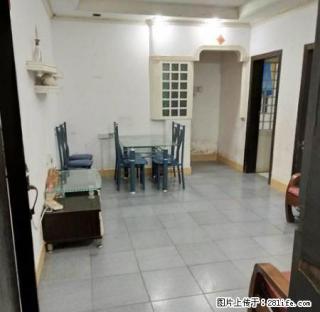 渔村小学宿舍5楼2房2厅2阳台仅租650元 - 汕尾28生活网 sw.28life.net