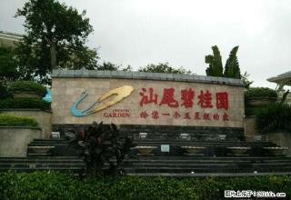 香洲碧桂园 3室2厅123平米 精装修 押一付三 - 汕尾28生活网 sw.28life.net