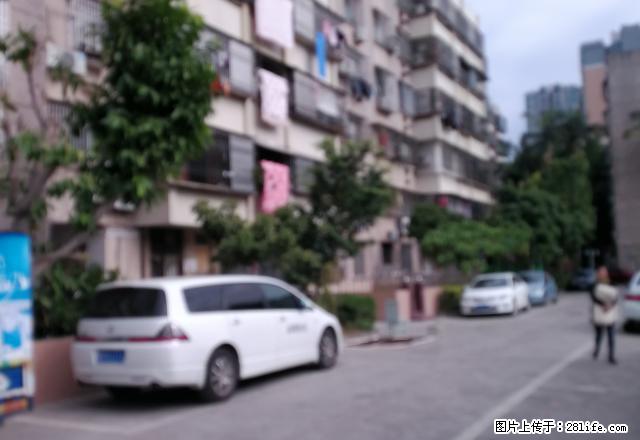 市政府宿舍带家具电器3楼 - 房屋出租 - 房屋租售 - 汕尾分类信息 - 汕尾28生活网 sw.28life.net