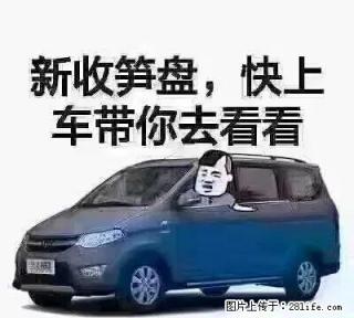 园林单房，带大部分家具 - 汕尾28生活网 sw.28life.net
