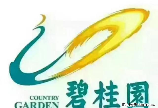 碧桂园一期小高层电梯房3房2厅2卫2阳台 全家具家电 - 房屋出租 - 房屋租售 - 汕尾分类信息 - 汕尾28生活网 sw.28life.net