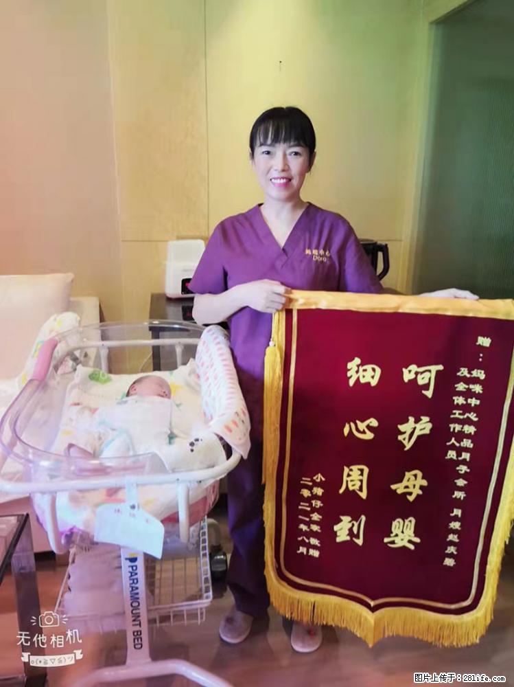 上海高端月子会所招新手月嫂，零基础带教，包吃住 - 职场交流 - 汕尾生活社区 - 汕尾28生活网 sw.28life.net
