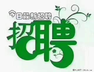 【招聘摄像师】待遇：试用期6000元/月，转正7000元/月+五险一金+餐补+节日福利+奖金 - 汕尾28生活网 sw.28life.net