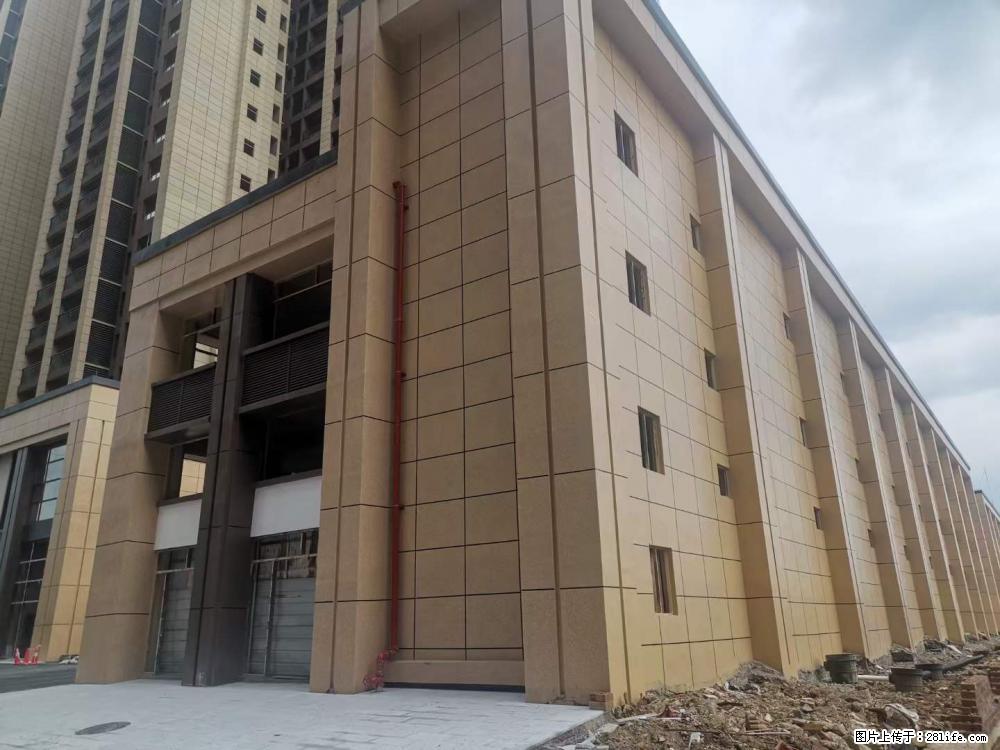 【广西三象建筑安装工程有限公司】外墙涂料工程 - 新手上路 - 汕尾生活社区 - 汕尾28生活网 sw.28life.net