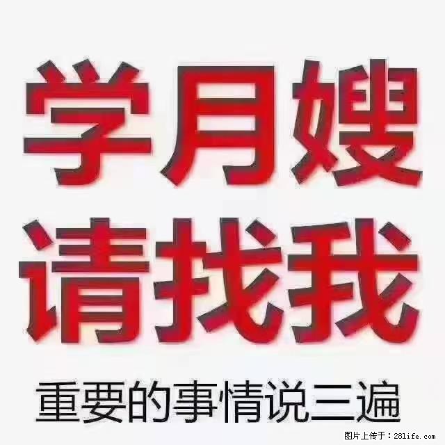 【招聘】月嫂，上海徐汇区 - 职场交流 - 汕尾生活社区 - 汕尾28生活网 sw.28life.net