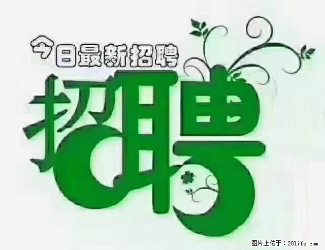 上海隔离酒店招人：55岁以下 男女不限 - 职场交流 - 汕尾生活社区 - 汕尾28生活网 sw.28life.net