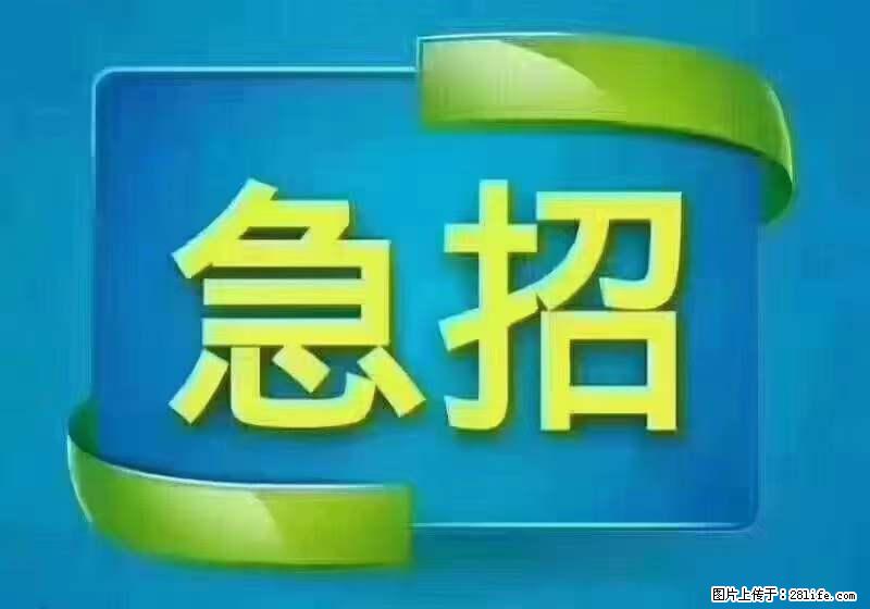 招出纳8000元/月，无证可以，要有相关经验，上海五险一金，包住，包工作餐，做六休一。 - 职场交流 - 汕尾生活社区 - 汕尾28生活网 sw.28life.net