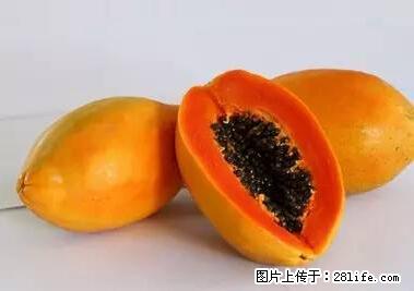 晕车、脚气、牙齿变黄、皮肤粗糙？学会这些三分钟搞定！ - 汕尾生活资讯 - 汕尾28生活网 sw.28life.net