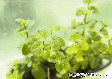 晕车、脚气、牙齿变黄、皮肤粗糙？学会这些三分钟搞定！ - 汕尾生活资讯 - 汕尾28生活网 sw.28life.net