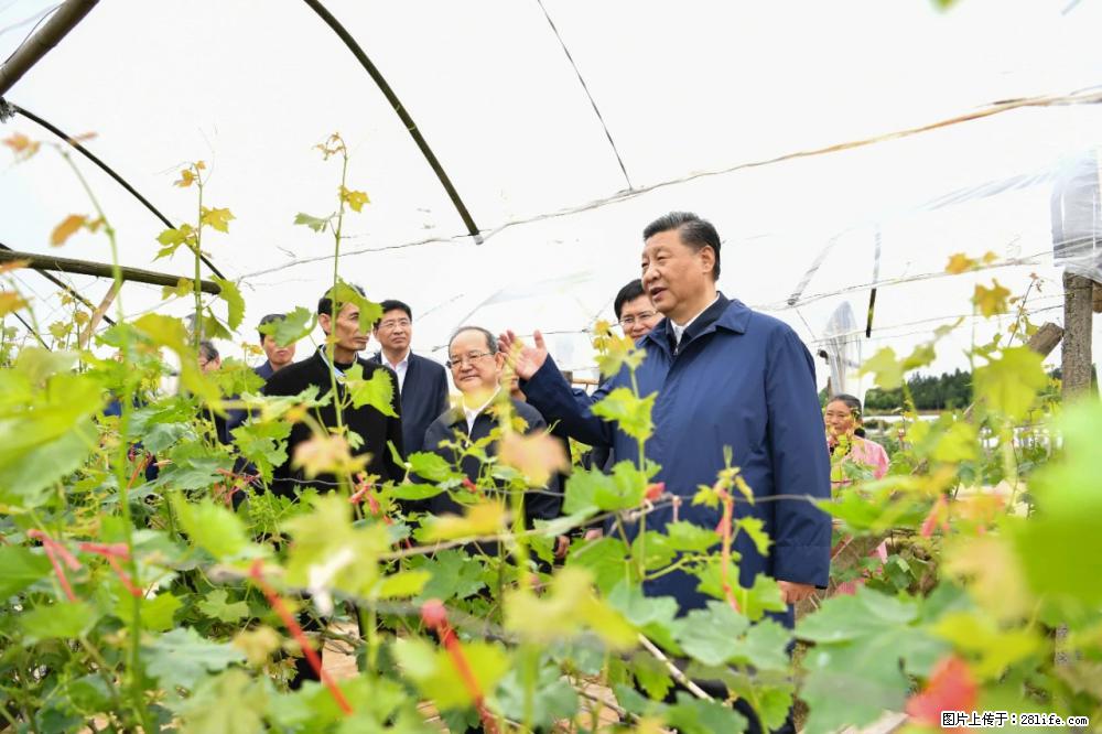 习近平赴广西考察调研 - 汕尾生活资讯 - 汕尾28生活网 sw.28life.net