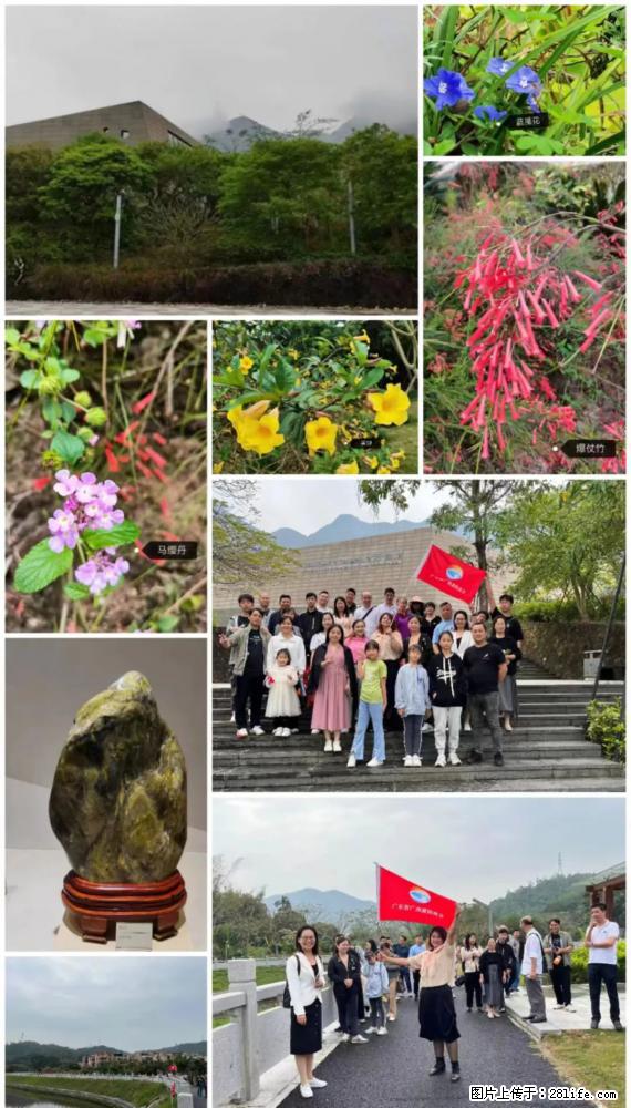 “粤灌文化 美好生活”油茶文化主题活动在广东深圳成功举办 - 汕尾生活资讯 - 汕尾28生活网 sw.28life.net