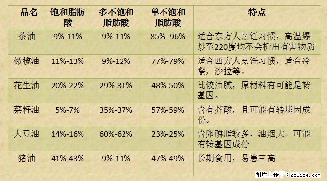 揭秘茶油的5大核心营养成分！被称为人体健康的“守护盾”！ - 汕尾生活资讯 - 汕尾28生活网 sw.28life.net