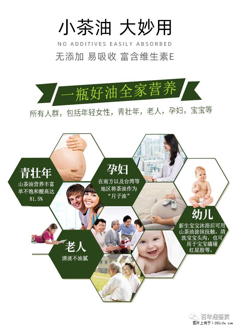 世界没有真相，只有认知，最好的食用油是中国的山茶油！ - 汕尾生活资讯 - 汕尾28生活网 sw.28life.net