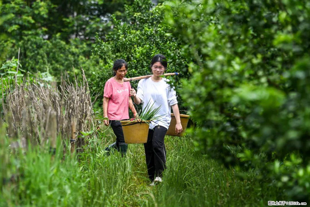 全网追的“扁担女孩”，找了一份暑假工，时薪12元 - 汕尾生活资讯 - 汕尾28生活网 sw.28life.net
