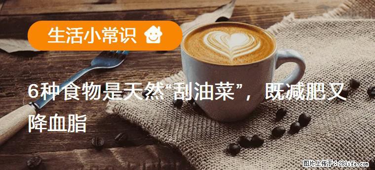 【生活小常识】6种食物是天然“刮油菜”，既减肥又降血脂 - 汕尾生活资讯 - 汕尾28生活网 sw.28life.net
