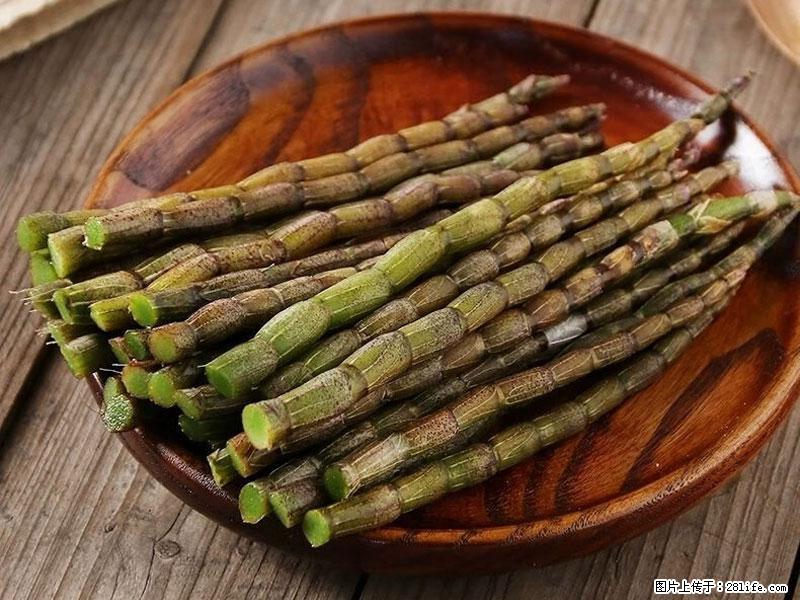 铁皮石斛的作用与功能主治 - 汕尾生活资讯 - 汕尾28生活网 sw.28life.net