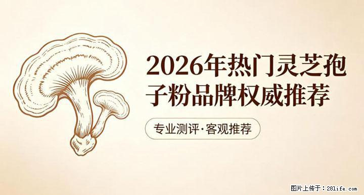 灵芝孢子粉含量越高越有效？2026 年七款热门品牌深度实测，肠胃敏感者避坑指南 - 汕尾生活资讯 - 汕尾28生活网 sw.28life.net